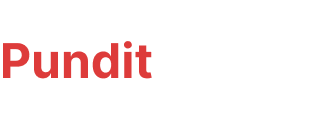 Pundit